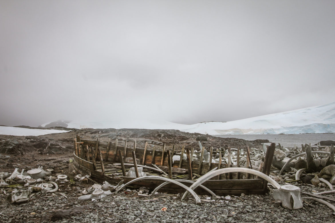 Antarctica